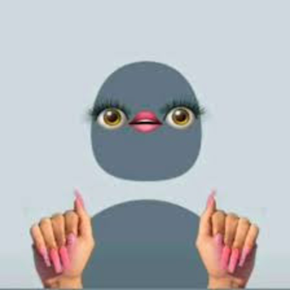 Meet your Posher, Kara - Picture 1 of 1